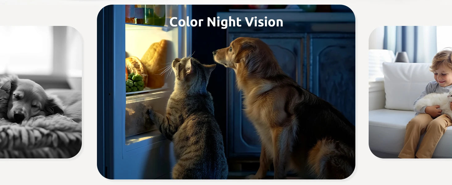 Blurams A31S-2pc 2K Indoor Security Camera (2-Pack) Blurams A31S-2pc 2K Indoor Security Camera (2-Pack)