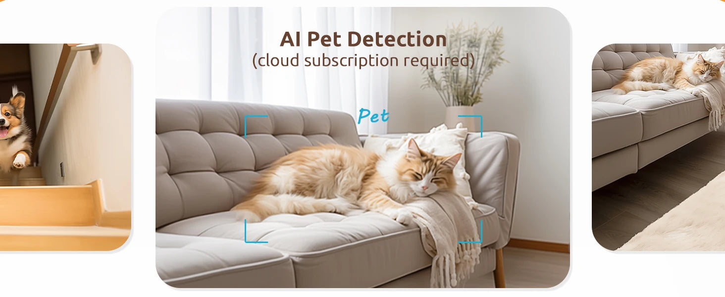 Blurams A31S-2pc 2K Indoor Security Camera (2-Pack) Blurams A31S-2pc 2K Indoor Security Camera (2-Pack)