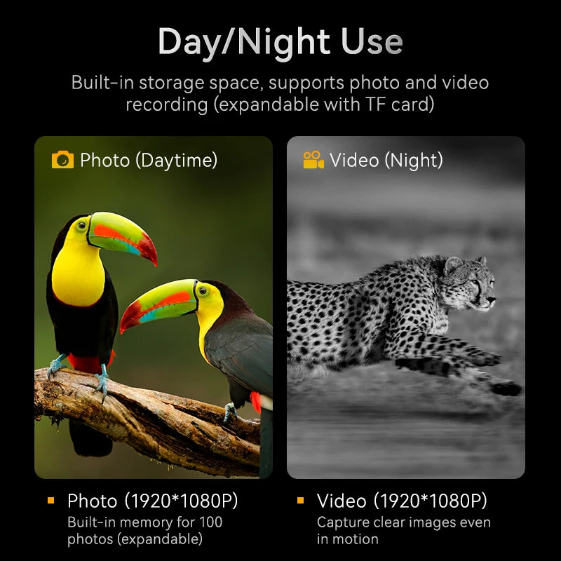 1080P Digital Night Vision Binoculars – 10x Zoom, Infrared, 800m Range