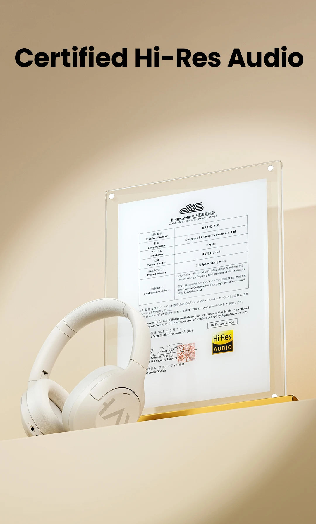 Haylou S30 Bluetooth 5.4 Earphones