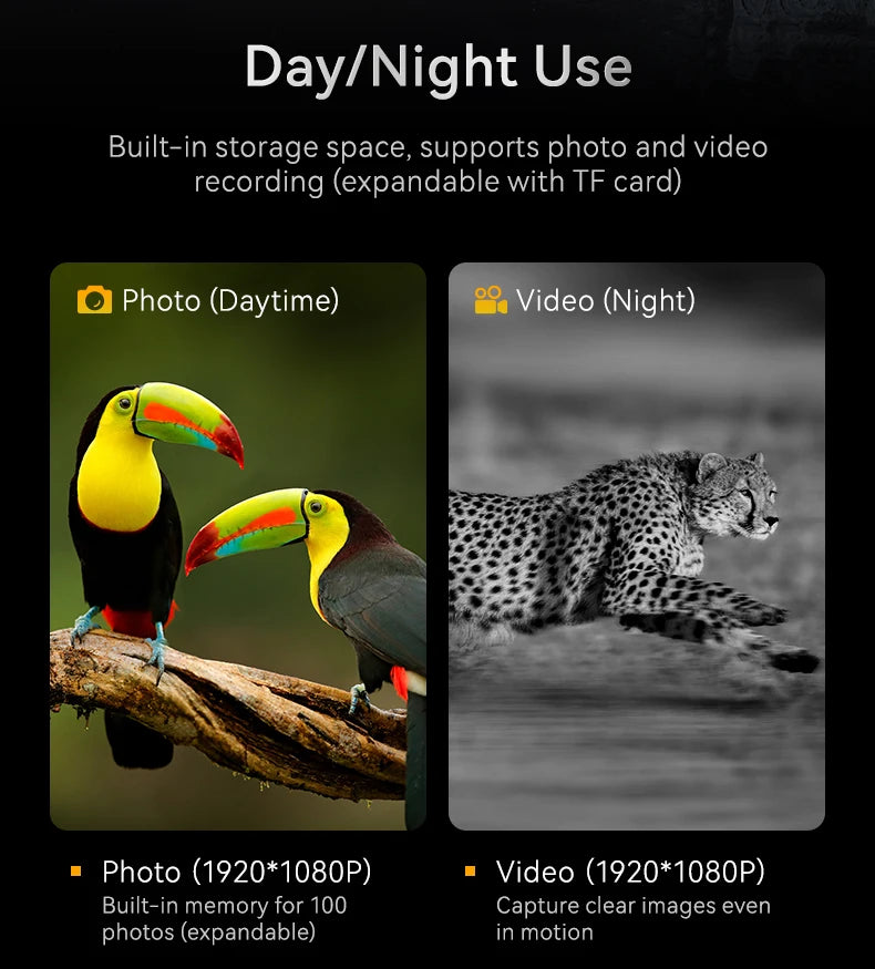 1080P Digital Night Vision Binoculars – 10x Zoom, Infrared, 800m Range